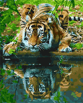 Animal Paint By Numbers Kits UK GX26064