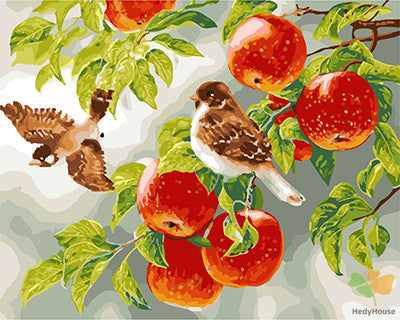 Still Life Paint By Numbers Kits UK GX26070