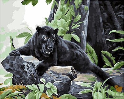 Animal Paint By Numbers Kits UK GX26072