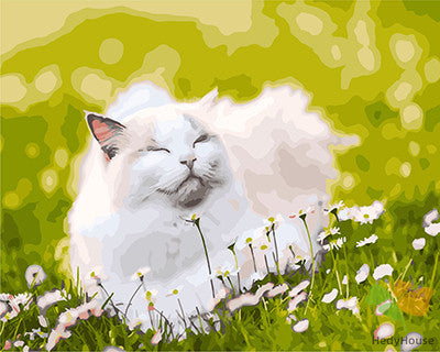 Cat & Dog Paint By Numbers Kits UK GX26077