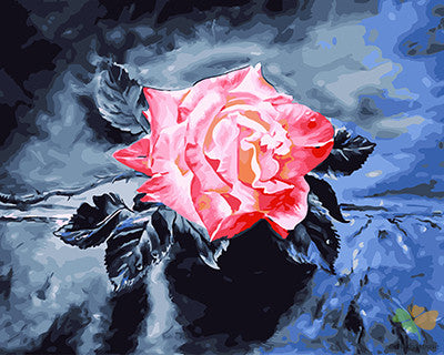 Flower Paint By Numbers Kits UK GX26126