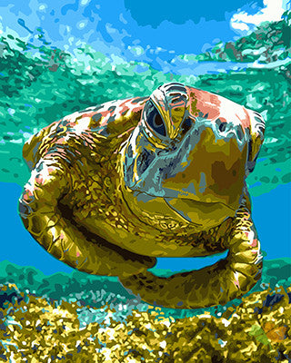 Animal Paint By Numbers Kits UK GX26127