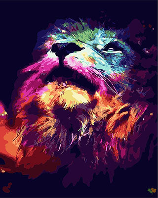 Colorful Paint By Numbers Kits UK GX26169