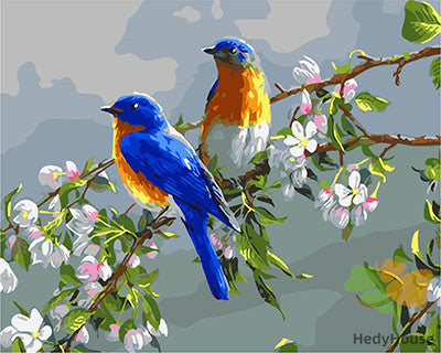 Birds Paint By Numbers Kits UK GX26173