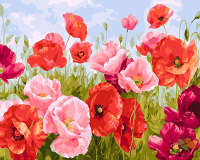 Flower Paint By Numbers Kits UK GX26187