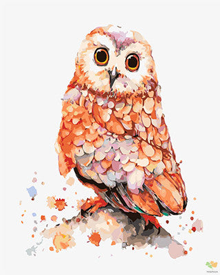 Colorful Paint By Numbers Kits UK GX26225