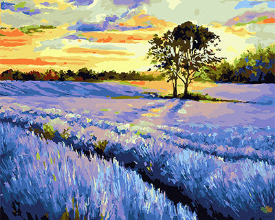 Colorful Paint By Numbers Kits UK GX26450