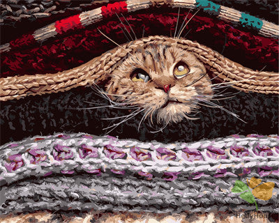 Cat & Dog Paint By Numbers Kits UK GX26455