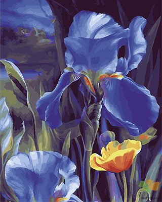 Flower Paint By Numbers Kits UK GX26504