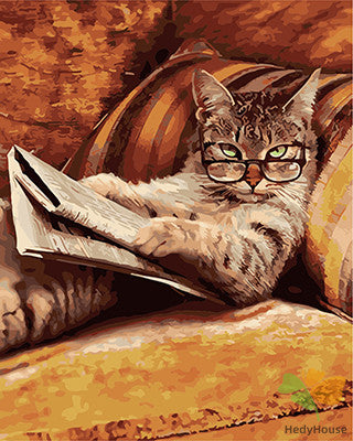 Cat & Dog Paint By Numbers Kits UK GX26511