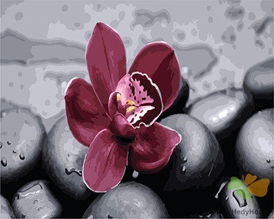 Flower Paint By Numbers Kits UK GX26622