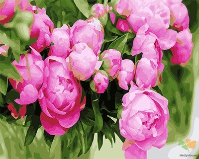 Flower Paint By Numbers Kits UK GX26624
