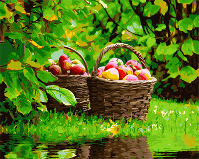 Still Life Paint By Numbers Kits UK GX26631