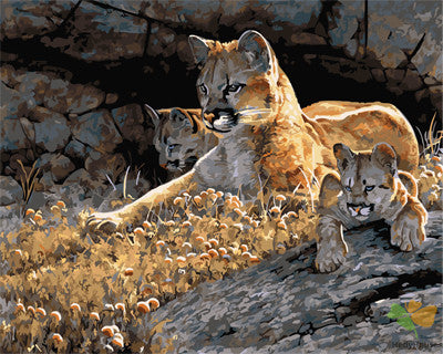 Animal Paint By Numbers Kits UK GX26643