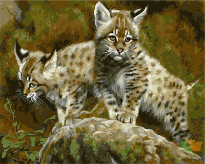 Animal Paint By Numbers Kits UK GX26644