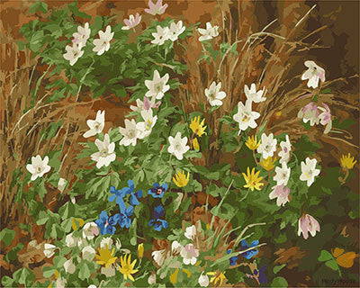 Flower Paint By Numbers Kits UK GX26666