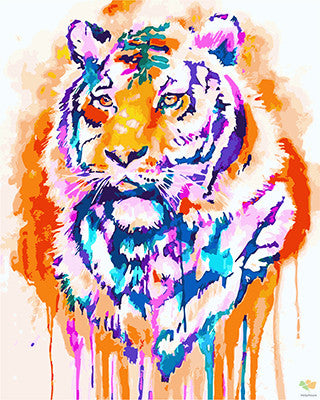 Colorful Paint By Numbers Kits UK GX26709