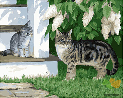 Cat & Dog Paint By Numbers Kits UK GX26939