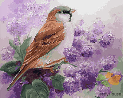 Birds Paint By Numbers Kits UK GX26942