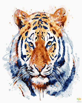 Colorful Paint By Numbers Kits UK GX26946