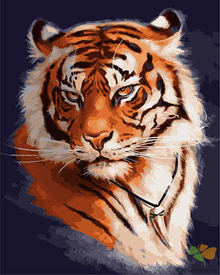 Animal Paint By Numbers Kits UK GX26948