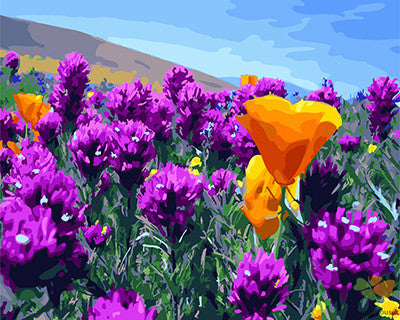 Flower Paint By Numbers Kits UK GX26949