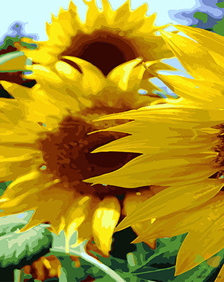 Flower Paint By Numbers Kits UK GX26969