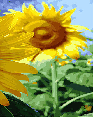 Flower Paint By Numbers Kits UK GX26971