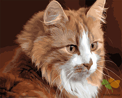 Cat & Dog Paint By Numbers Kits UK GX27026