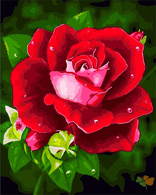 Flower Paint By Numbers Kits UK GX27085