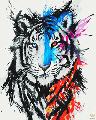 Colorful Paint By Numbers Kits UK GX27091