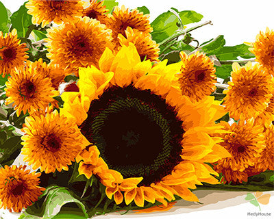 Flower Paint By Numbers Kits UK GX27123