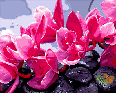 Flower Paint By Numbers Kits UK GX27128