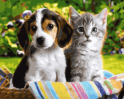 Cat & Dog Paint By Numbers Kits UK GX27160