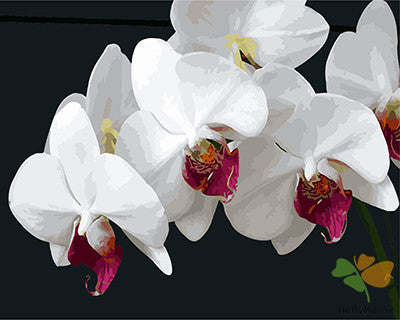 Flower Paint By Numbers Kits UK GX27168