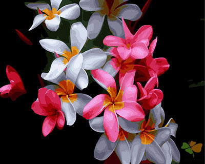 Flower Paint By Numbers Kits UK GX27169