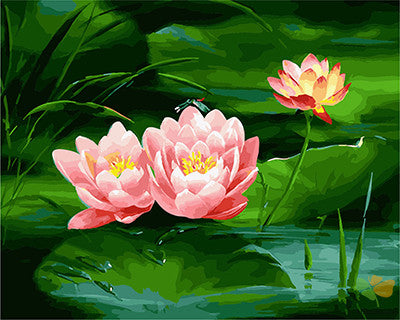 Flower Paint By Numbers Kits UK GX27170