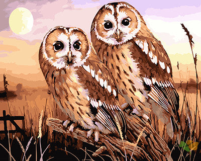 Cartoon Paint By Numbers Kits UK GX27197