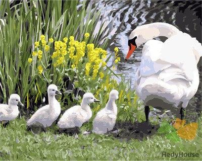 Birds Paint By Numbers Kits UK GX27200