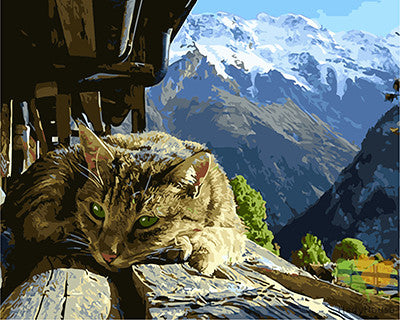 Cat & Dog Paint By Numbers Kits UK GX27239