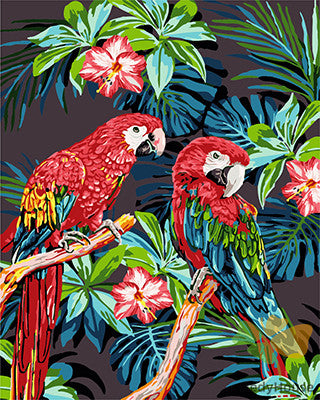 Birds Paint By Numbers Kits UK GX27244