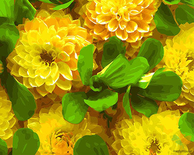 Flower Paint By Numbers Kits UK GX27272