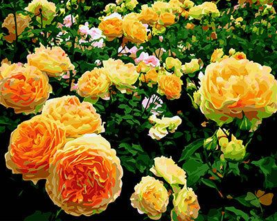 Flower Paint By Numbers Kits UK GX27276