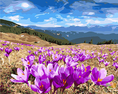 Flower Paint By Numbers Kits UK GX27318