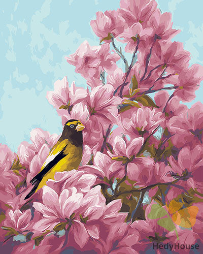 Birds Paint By Numbers Kits UK GX27338