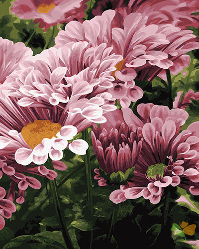 Flower Paint By Numbers Kits UK GX27347