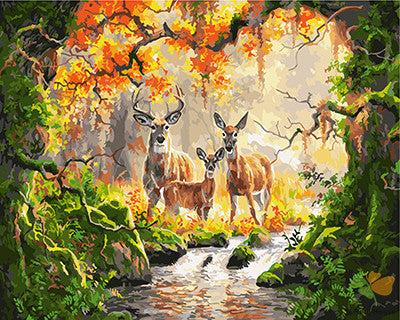 Animal Paint By Numbers Kits UK GX27358
