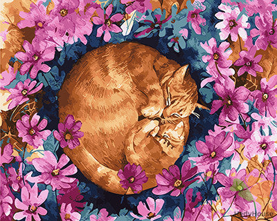 Cat & Dog Paint By Numbers Kits UK GX27388