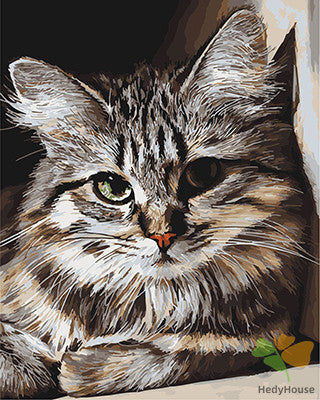 Cat & Dog Paint By Numbers Kits UK GX27396