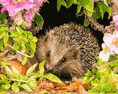 Animal Paint By Numbers Kits UK GX27447